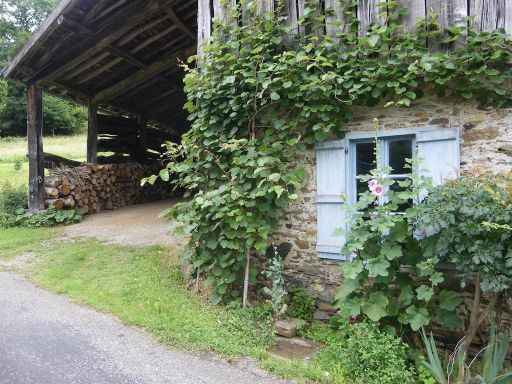 Bed and Breakfast Le Balcon Commingeois Chein-Dessus Habitación foto